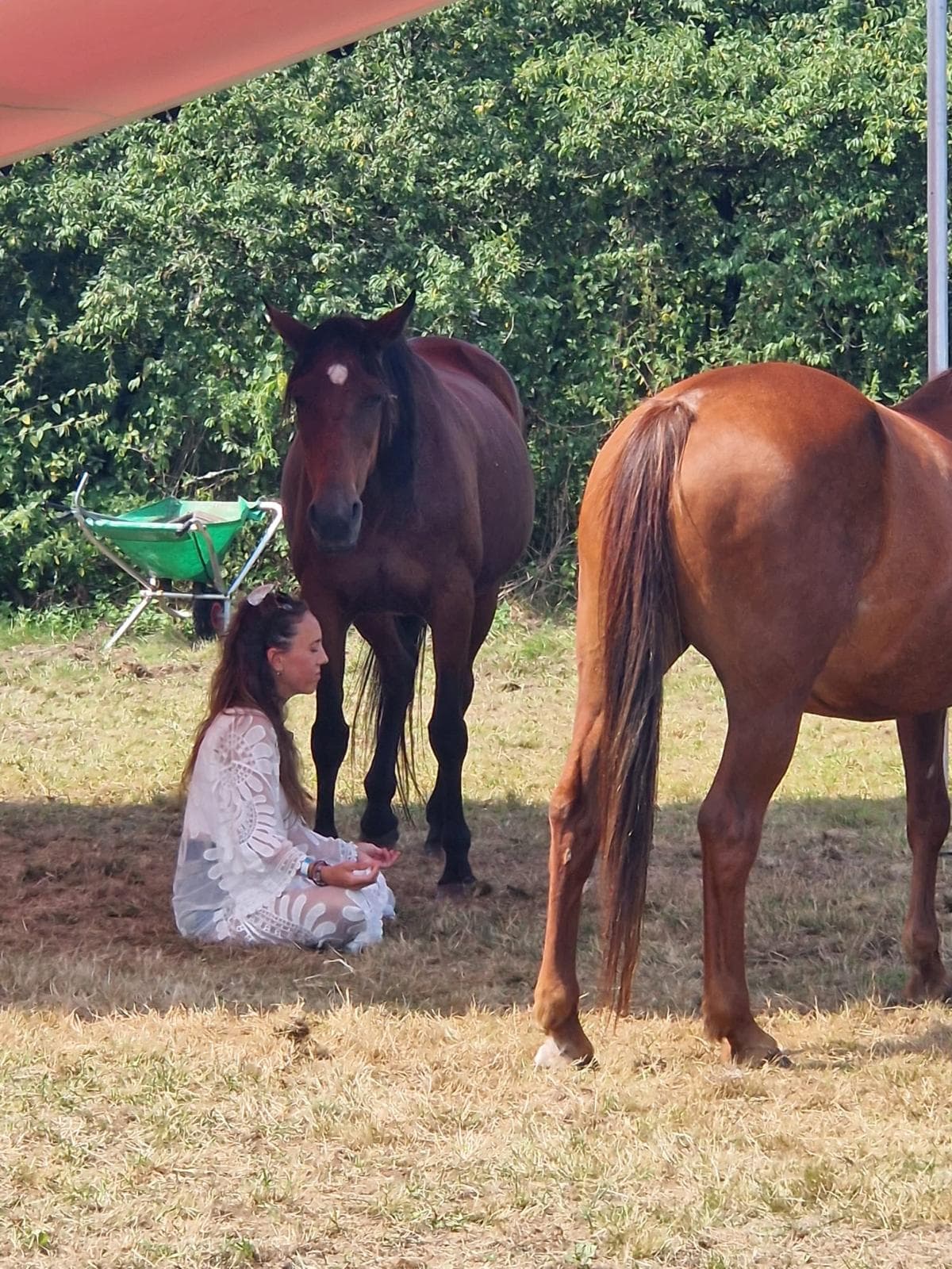 Anita in meditatie bij paarden